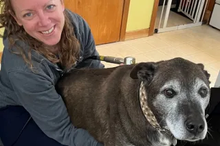 Red Light vs. Laser Therapy for Dogs — Is there a best option for my dog?