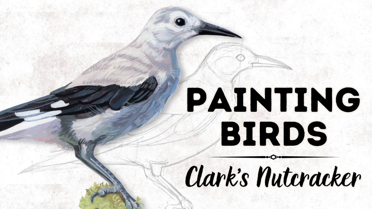 How to Paint a Clark's Nutcracker