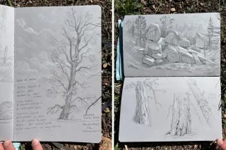Creating Space at Mueller State Park