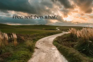 Free, and Then What?