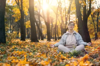 The Inner Season: A Daoist Perspective on Mental Health