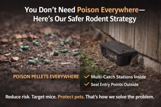 You Don’t Need Poison Everywhere—Here’s Our Safer Rodent Strategy