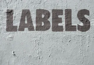 When the Label Becomes the Story: What 'Intimate Terrorist' Does to Families in Estrangement