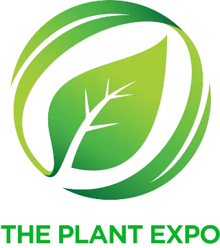 FAQ image