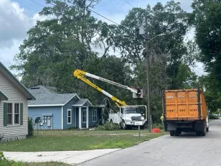 Residential Tree Services for Homeowners