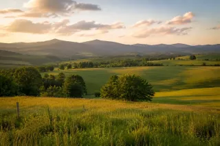 Relocating in Clarke County, Virginia: What You Should Know Before You Arrive