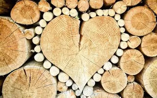 Chop Wood, Carry Water
