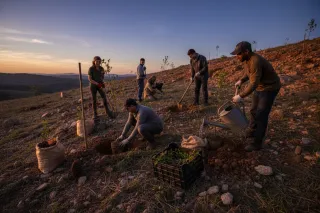 The Soil Beneath Our Feet: Where Regeneration Begins