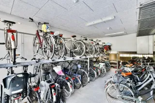 Reliable Near Me Bicycle Shop for Quality Bike Repairs