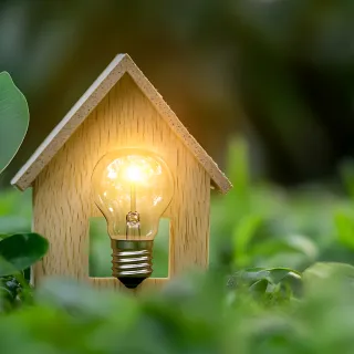 Go Green at Home: 3 Eco Upgrades for More Sustainable Living