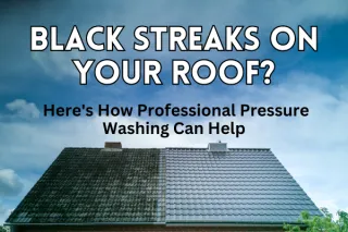 Black Streaks on Your Roof? Here's How Professional Pressure Washing Can Help
