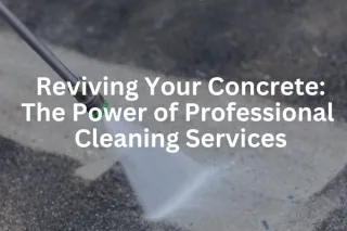 Reviving Your Concrete: The Power of Professional  Cleaning Services