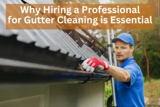 Why Hiring a Professional for Gutter Cleaning is Essential