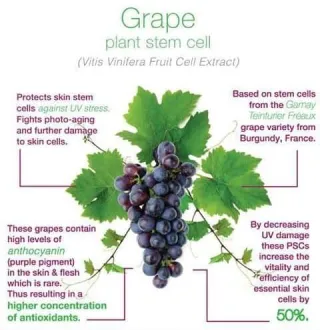 FAQ image