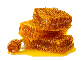 FAQ image