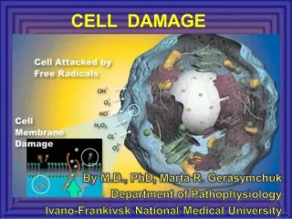 FAQ image