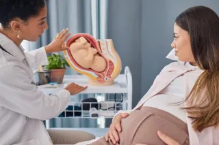 Primary Care for Pregnancy: What You Need to Know