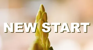 A "New Start" on a Healthy Lifestyle