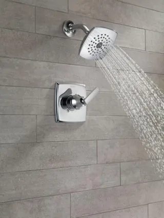 Delta Shower Head