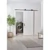 Interior sliding barn door