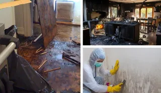 Mold Growth After Wildfire - Santa Barbara Mold Inspection