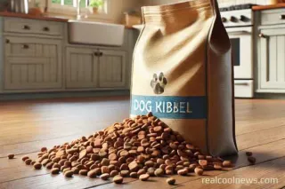 Not All Dog Food is Alike: A Dive into Quality Dog Food Brands You Can Trust