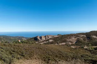 🌄Topanga State Park: The Wild Side of LA You Didn’t Know You Needed