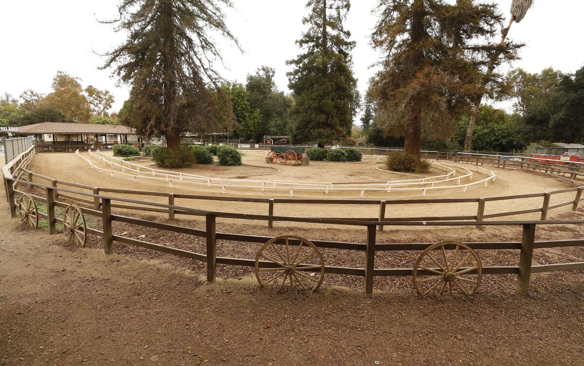 🐴Griffith Park Pony Rides: A Classic LA Family Adventure