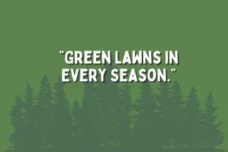 Keep Your Lawn Green Year-Round with Professional Maintenance