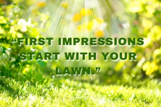 Professional Lawn Maintenance: The Key to Lasting Curb Appeal