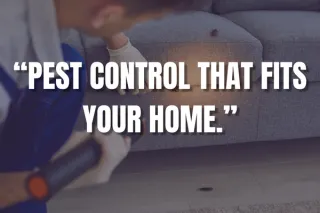 Customized Pest Control Program for Your Home