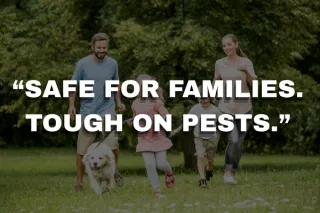 Family-Safe Pest Control Program for Healthier Living