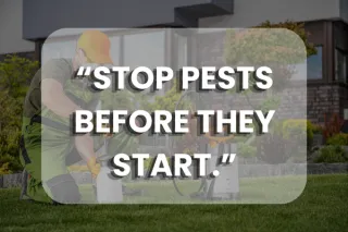 Preventative Pest Control Program That Stops Infestations Early