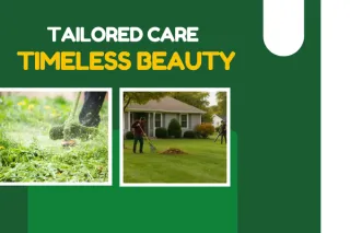 Tailored Lawn Maintenance Programs for Lasting Beauty