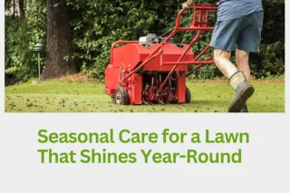 Seasonal Lawn Care Programs for Year-Round Beauty