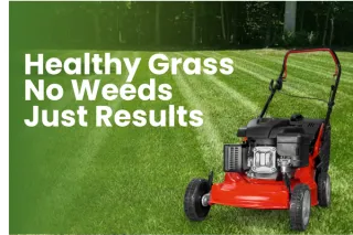 Premium Lawn Fertilization & Weed Control Programs