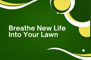 Complete Lawn Aeration & Overseeding Programs for Stronger Growth