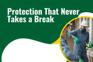 Year-Round Pest Control Programs for a Pest-Free Home