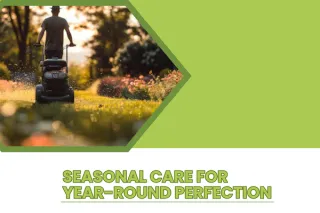 Professional Lawn Maintenance Programs for Every Season