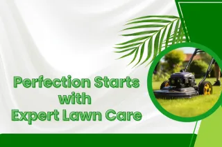 Premium Lawn Maintenance Programs for a Perfect Landscape
