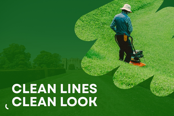 Professional Lawn Edging for a Crisp, Clean, and Polished Yard