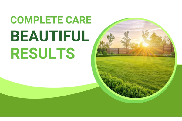 Complete Lawn Maintenance Solutions for a Greener, Healthier Yard