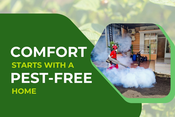 Residential Pest Control Programs for a Cleaner, More Comfortable Home