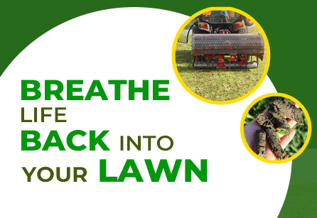 Aeration & Overseeding Services for Thicker, Healthier Grass