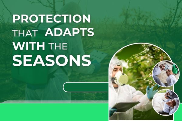 Seasonal Pest Control Programs to Address Changing Pest Activity