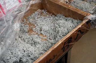 Why Regular Shredding Service Is Critical for Ogden & Provo Office Security