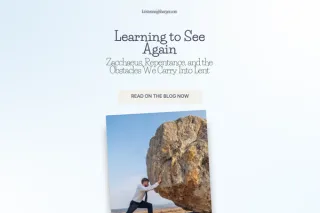 Learning to See Again