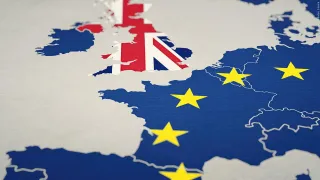 "The Mirage of Carbon Neutrality: A Tale of EU Influence and Global Aspirations