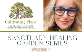 Cultivating Place | Sanctuary: Healing Gardens Series Episode No. 1 
