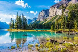 Exploring Company Structures in Alberta Canada: A Guide to Business Models and Registration in Alberta Canada